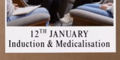 Workshop - Induction and medicalisation