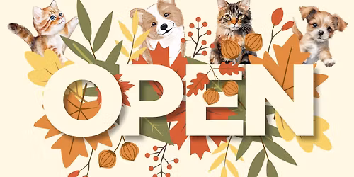 Stonebrook Annual Open House