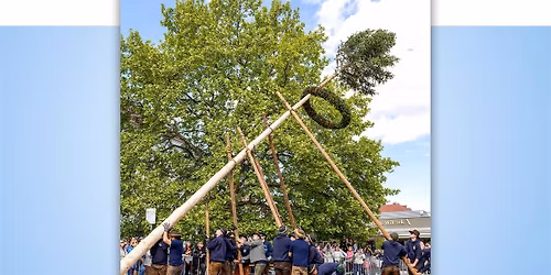 Maibaum-Aufstellen \u2600\ufe0f 