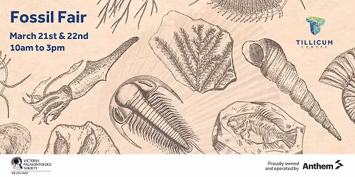 Fossil Fair with The Victoria Paleontology Society