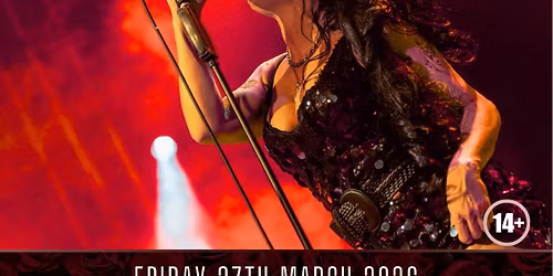 The Amy Experience - 20 Years Back Tour (Chesterfield)