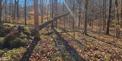 Intermediate Bushwacking Backpacking trip in the HNF