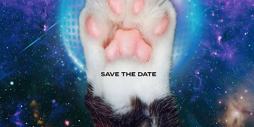 Cat Rave 2.0