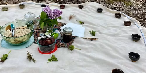 Guided Shinrin-yoku: Rest and Reconnect in Nature
