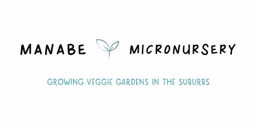 Growing vegetables from seed