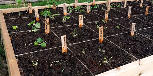 Square Foot Gardening with Madison County Master Gardeners