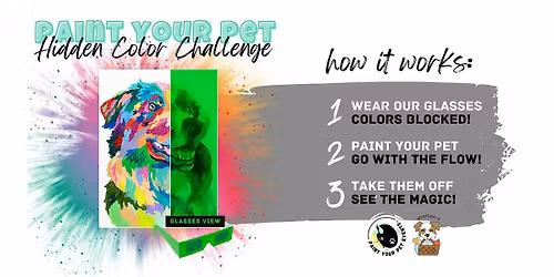Paint Your Pet - Rainbow Hidden Color Challenge