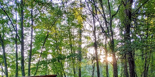 Froggy Mountain 50 & 100 miler