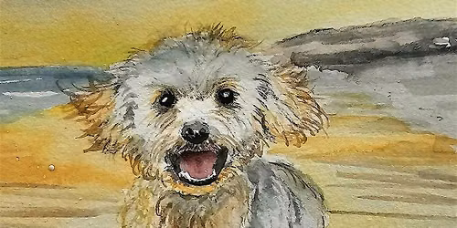 Fur, Feathers & Fun: Paint Your Pet