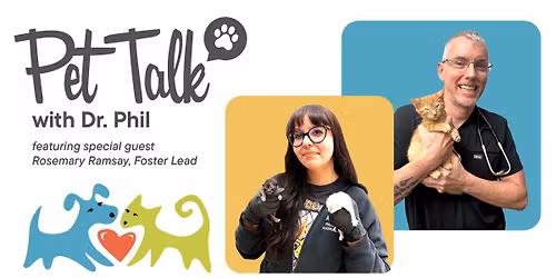 Kitten Season: From Found to Foster to Forever Home