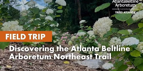Field Trip: Discovering the Atlanta Beltline Arboretum Northeast Trail