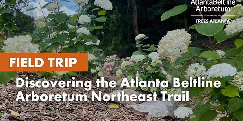Field Trip: Discovering the Atlanta Beltline Arboretum Northeast Trail