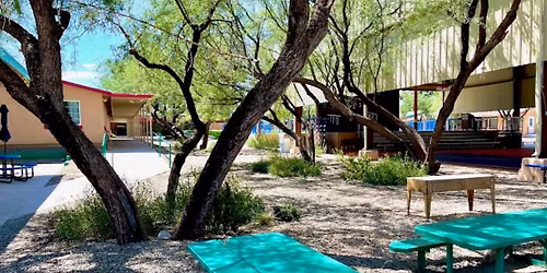 AKC trial at Tucson Country Day School 