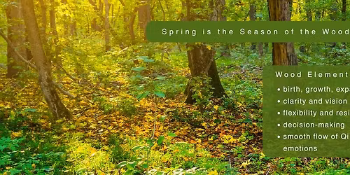 Comprehensive Nervous System Reset: Acupuncture with Guided Meditation 