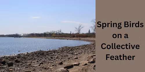 Spring Birds on a Collective Feather