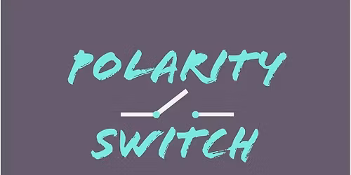 Polarity Switch @ The Black Lion, Llandaff. 