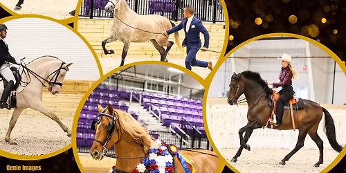 IALHA National Championship Show