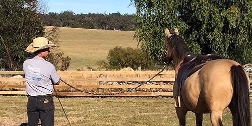 Tasmanian weekend horsemanship clinic 