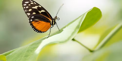  Embodied Awareness and Sustainable Being Workshop