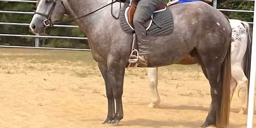 Mechanics of Horsemanship Part II with Marvin Brangman
