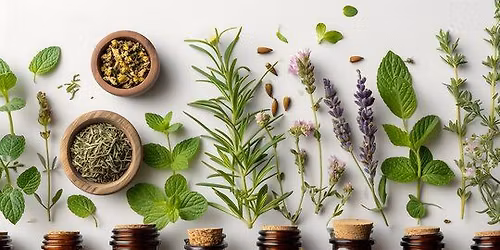 Everyday Herbal Remedies