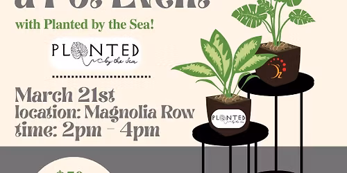 Grounding Yin & Plant a Pot Event