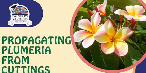 Propagating Plumeria From Cuttings