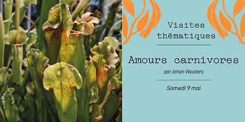 Visite th\u00e9matique - Amours carnivores