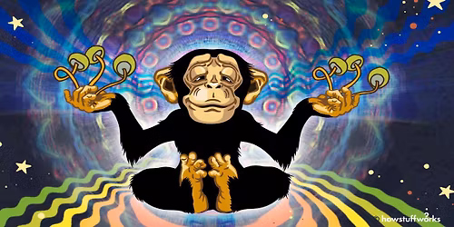 Inner Alchemy Psyche Reset