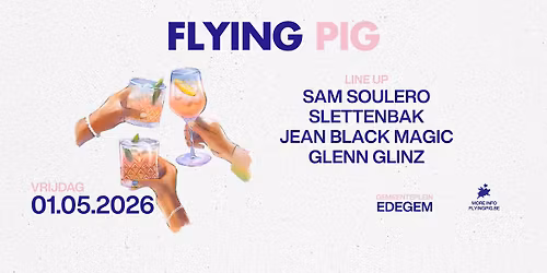Flying Pig: Edegem 