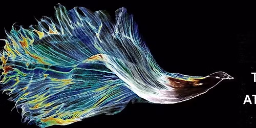 Workshop: Vom Wesen der Tr\u00e4ume