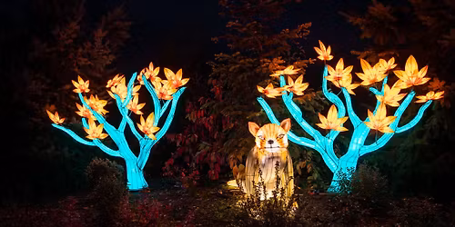 ZooLights Sensory-Friendly