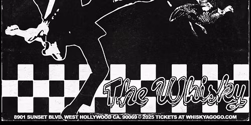 The Untouchables, Gaba Groove, Bloodbelly Blues, Unlevel, Blue Crescent