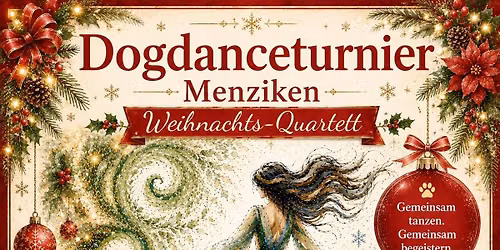Dogdance Weihnachtsturnier Fun