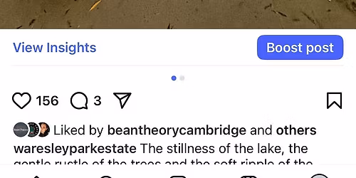 Winter Solstice Swim