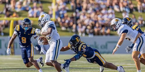 Parking West Georgia Wolves at Tennessee Volunteers Baseball