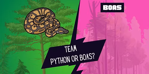 Team BOA or Team PYTHON
