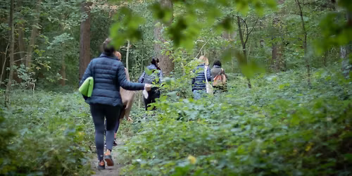  Walk, meditate and journey within!