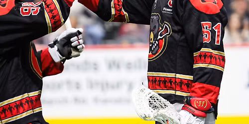 Rochester Knighthawks vs. Ottawa Black Bears