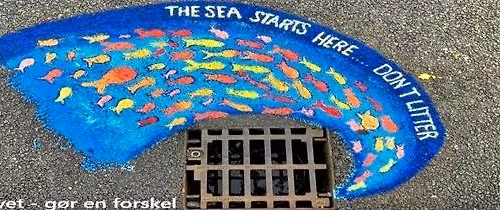 Bliv klogere p\u00e5 tarmfloraens vigtige rolle og dens betydning for din sundhed