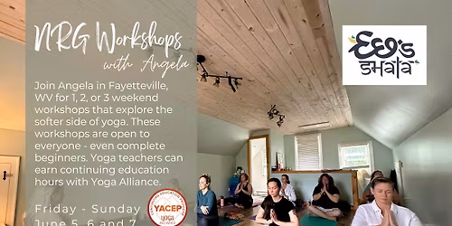 NRG Workshops with Angela