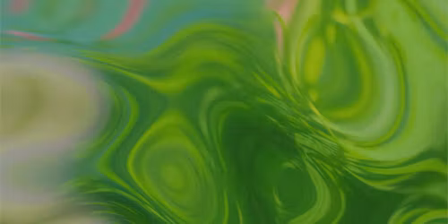 LVSO | L. van Beethovenas ir G. Verdi chorai