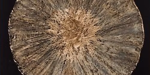 Drawn from the Vault: Mindful Mandalas