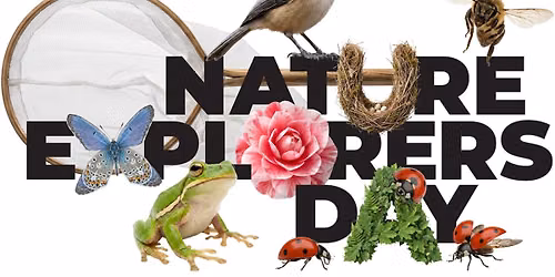 Nature Explorers Day 