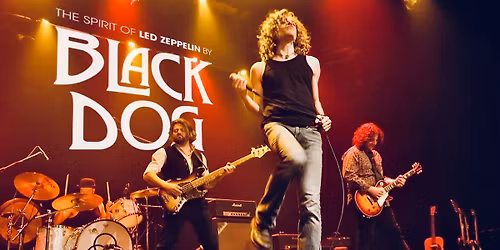 Black Dog: The Spirit of Led Zeppelin