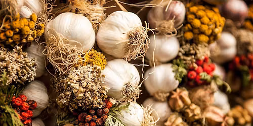 Garlic Braiding Workshop at Division