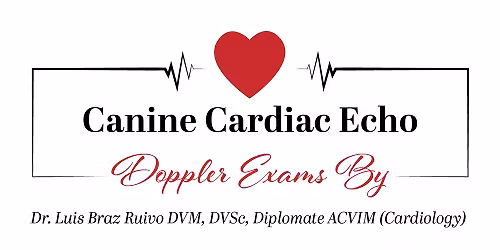 Echocardiogram With Color Flow Doppler Breed Screen Clinic