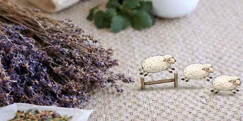 Schlaf gut: Kr\u00e4uter-Tipps f\u00fcr einen guten Schlaf