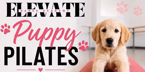 Puppy Pilates at Elevate Dance Academy