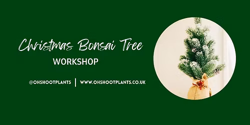Christmas Bonsai Tree Workshop - Come and style a pine tree into a bonsai and decorate!